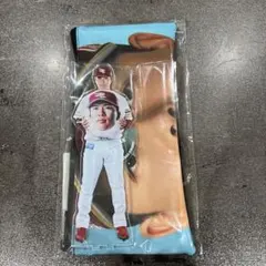 楽天イーグルス　ガラポン お値下げ47藤井選手　早川選手