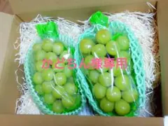 長野県産シャインマスカット秀品　1kg