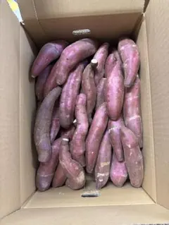 箱込み約5キロ 農薬不使用 シルクスイート「さつまいも」 Sサイズ前後