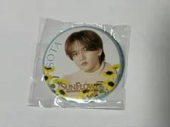 SUNFLOWER カプセル 中島颯太 - メルカリ