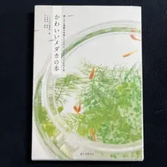 Item thumbnail for item a8e990a6-2ef6-4b09-a422-c287f893032b