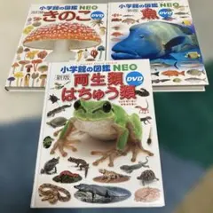 小学校の図鑑 NEO 3冊セット