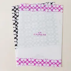 COACH かんぽ生命 オリジナルクリアファイル ２枚セットのサムネイル