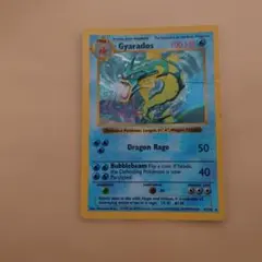 ポケモンカード 海外限定加工 わるいギャラドス プレリリース プロモ