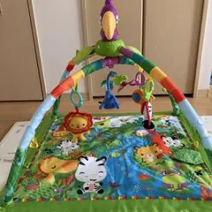 피셔프라이스 레인포레스트 디럭스 짐 II 플레이 짐