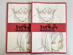 ハイキュー ゴミ捨て場の決戦 入場特典 パンフレット
