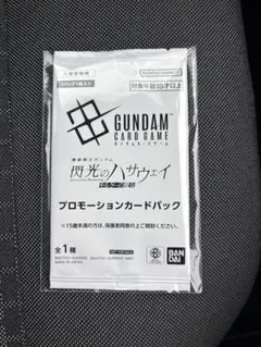 機動戦士ガンダム閃光のハサウェイ　映画　特典