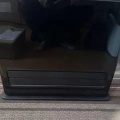 Item thumbnail for item 74762f44-6ac4-43a2-ae55-f72a44407edd