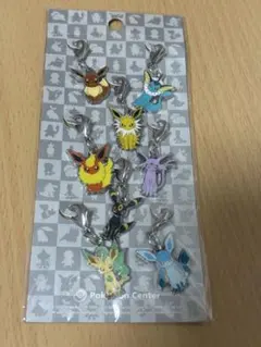 全国ずかん メタルチャーム　ブイズ