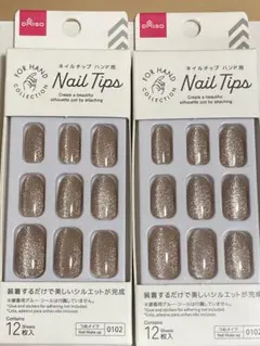 DAISO Nail Tips マグネットブラウン2箱 新品未使用品①のサムネイル