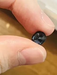 Item thumbnail for item fbb72d67-f080-43b2-bee1-68eba69bfc4c