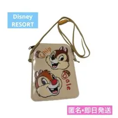 公式　ディズニーリゾート　チップ＆デール　パスケース　レトロ　人気　廃盤　即日