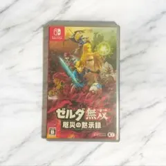 ゼルダ無双 厄災の黙示録 【早いもの勝ち】