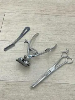 Item thumbnail for item 8362ddbd-052f-403f-9c2d-2697425652e3