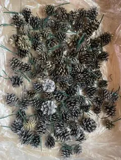 がーこ様 リクエスト 2点 まとめ商品