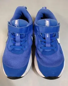 Item thumbnail for item 5a7b716a-115e-415e-a8b0-67a678c6f677