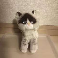 2025年最新】グランピーキャットの人気アイテム - メルカリ