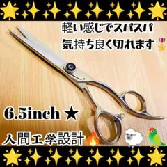 最高級鋼材②ハイス鋼◯6インチシザー◯美容◯理容◯鋏◯粉末鋼◯美容