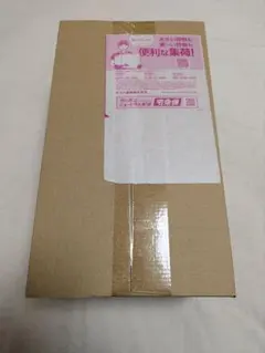 スペシャルBOX ポケモンセンタートウホク　再抽選品（追加販売分）