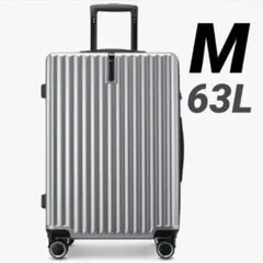 【新品】キャリーケース スーツケース M 軽量 TSAロック シルバーのサムネイル