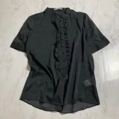 セオリーリュクス　半袖 シアー ブラウス　40 Ｌ相当 ブラック　綿絹