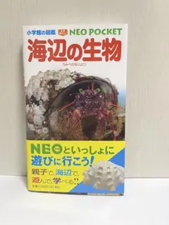 Toru様 リクエスト 2点 まとめ商品