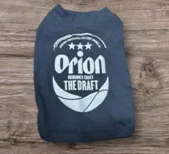 Item thumbnail for item 3be931e4-dccf-4bc5-8d35-a882d3a39628