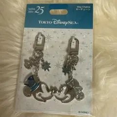 東京ディズニーシー 25周年記念キーチェーン　新品未開封