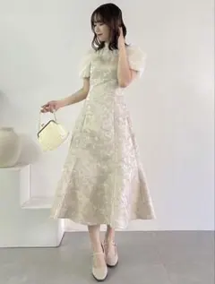 【完売品】dazzlin シアーベールジャガードワンピース