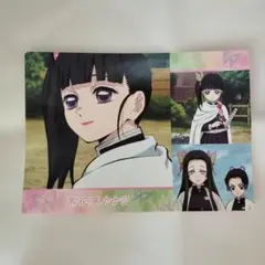 鬼滅の刃 みつりちゃんの隊服 場面写ブロマイドくじ 甘露寺蜜璃 胡蝶