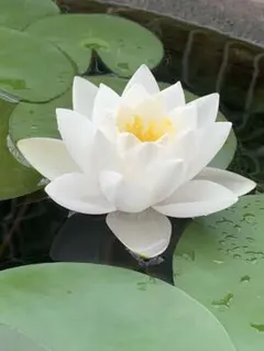 ぷめ様 リクエスト 3点 まとめ商品