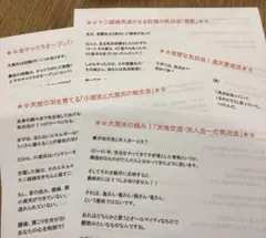 清水義久先生　気功フェーズ3 10巡目　1〜6回セミナー資料とセミナー音声 清水義久先生 気功フェーズ3 10巡目 1〜6回セミナー資料と