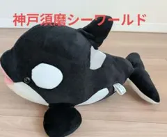 鴨川シーワールド シャチくじ 3等賞 約60cm ぬいぐるみ - メルカリ