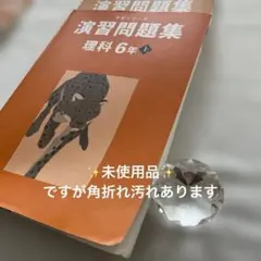 2026年最新】予習シリーズ 6 理科の人気アイテム - メルカリ