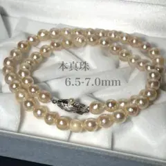 Item thumbnail for item 4c02de89-48cd-44af-b975-938b1d669944