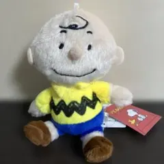 ★新品未使用品★スヌーピー　チャーリーブラウン　ぬいぐるみマスコット