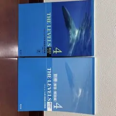 THE LEVELS 4 レベル別　英語長文問題集　国公立大レベル