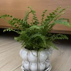 Eiei様 リクエスト 2点 まとめ商品