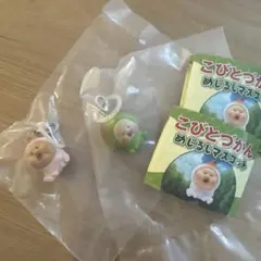 こびとづかん　ガチャガチャ