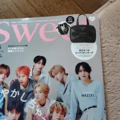 Sweet付録JILL by JILL STUART ビッグトートバッグ