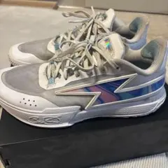 ウェイドバスケットボールシューズ