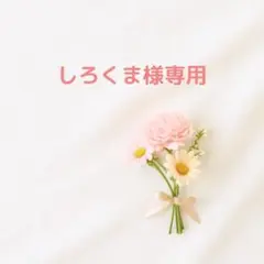 【専用】 まさるのスクイーズレジン＊こんにゃくゼリー触感 greenocean