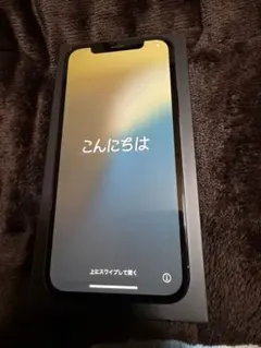 ユ*ヤ様 iPhone 12 pro パシフィックブルー 512 GB SIMフ