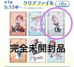 新品未開封 白銀ノエル ホロライブ クリアファイル③