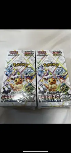 ポケモンカードゲーム テラスタルフェスEX 2BOX シュリンク付き