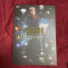 Item thumbnail for item 09c6e583-5217-4ec4-9911-79a40c07ee2b