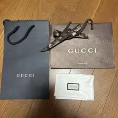 空箱・空袋】 GUCCI グッチ 保存袋 セット ショップ袋 アクセサリー用