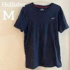 Hollister Must-Have Collection 【M】ネイビー半袖のサムネイル