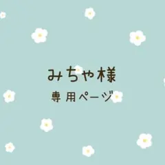 みちゃ様専用ページ