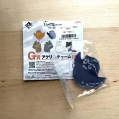 一番くじ ハイキュー！！-最強の挑戦者- アクリルチャーム G賞 影山飛雄